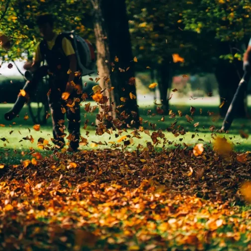 buga_gartenbau_herbst
